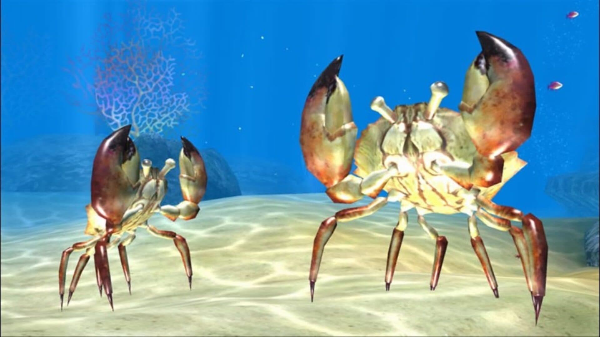 Sealife Safari screenshot 12