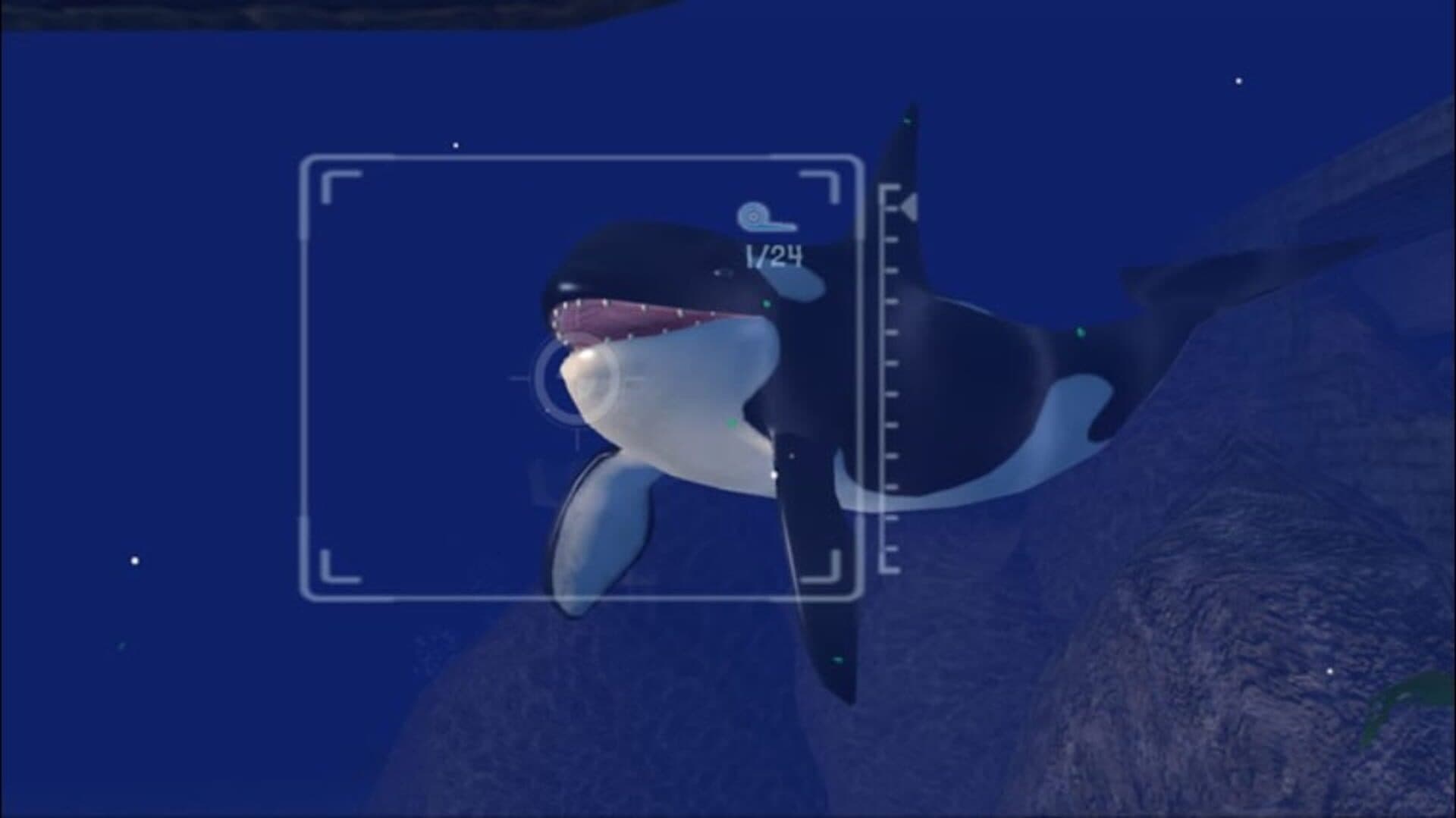 Sealife Safari screenshot 2