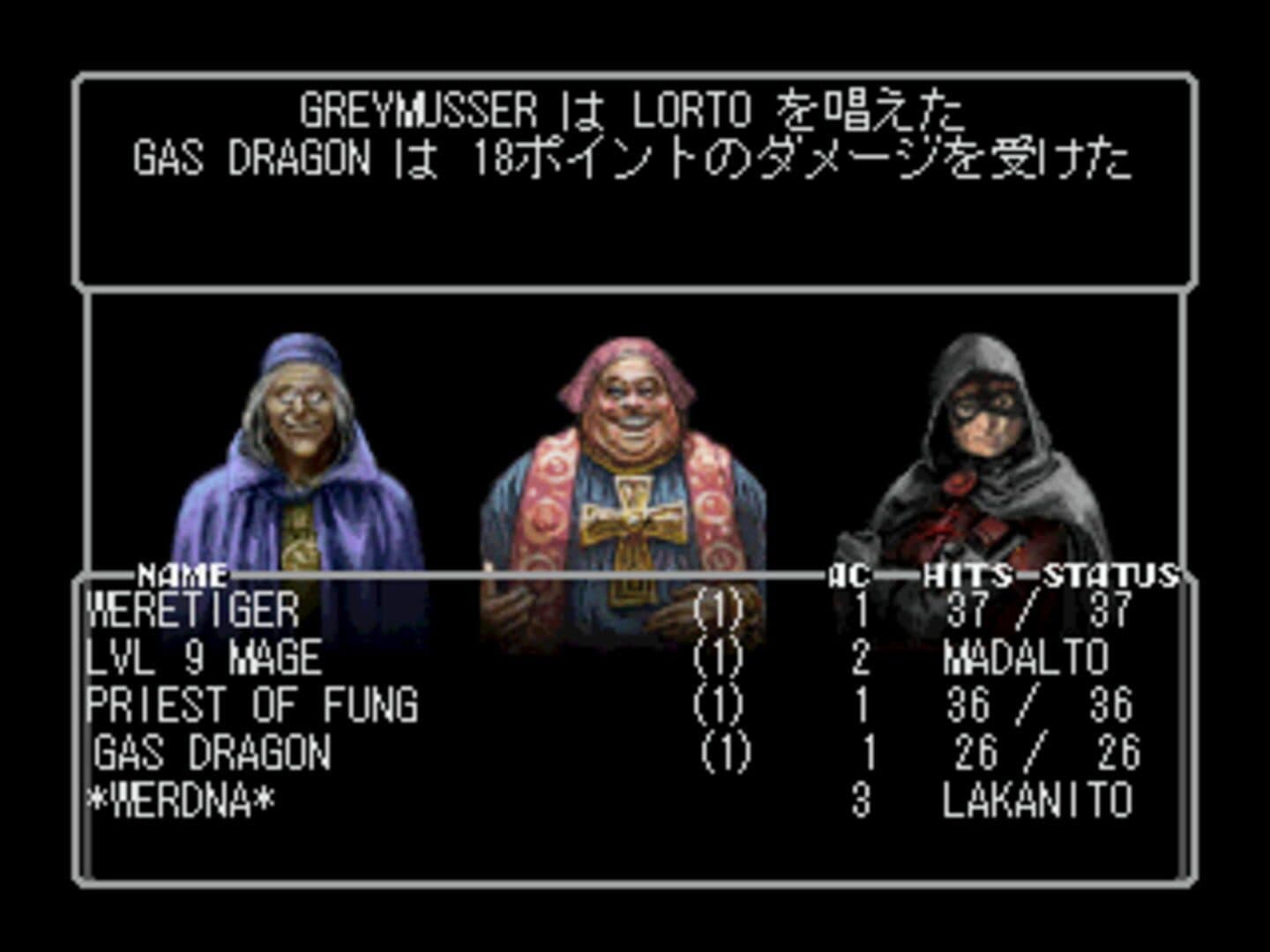 Wizardry: New Age of Llylgamyn screenshot 3