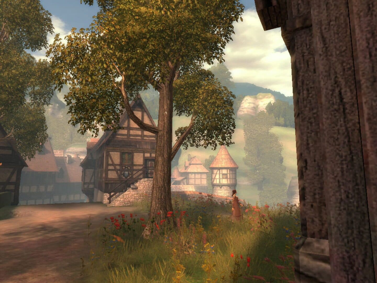 Drakensang: The Dark Eye screenshot 8