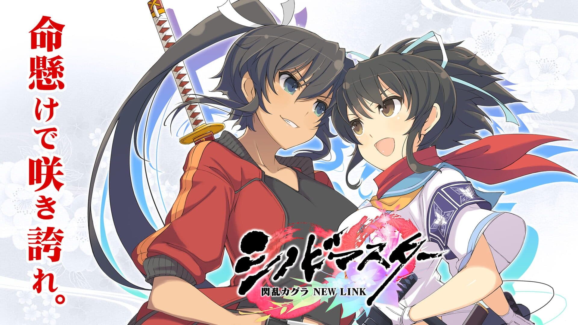 Senran Kagura: New Link screenshot 1