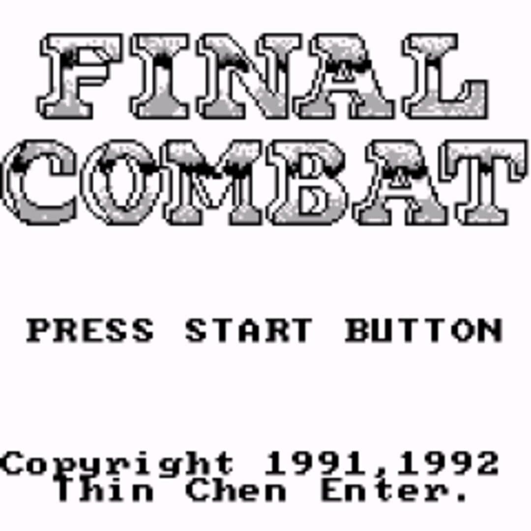 Final Combat screenshot 1
