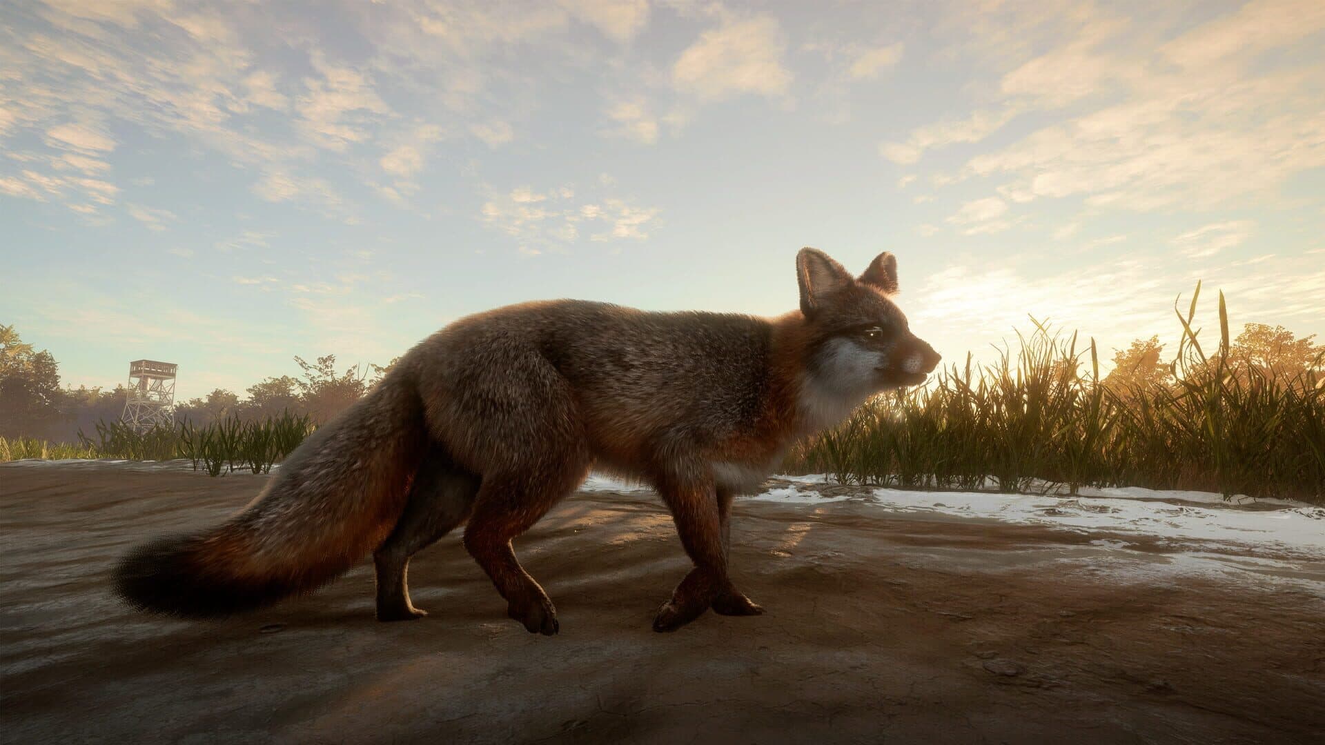 TheHunter: Call of the Wild - Mississippi Acres Preserve screenshot 3