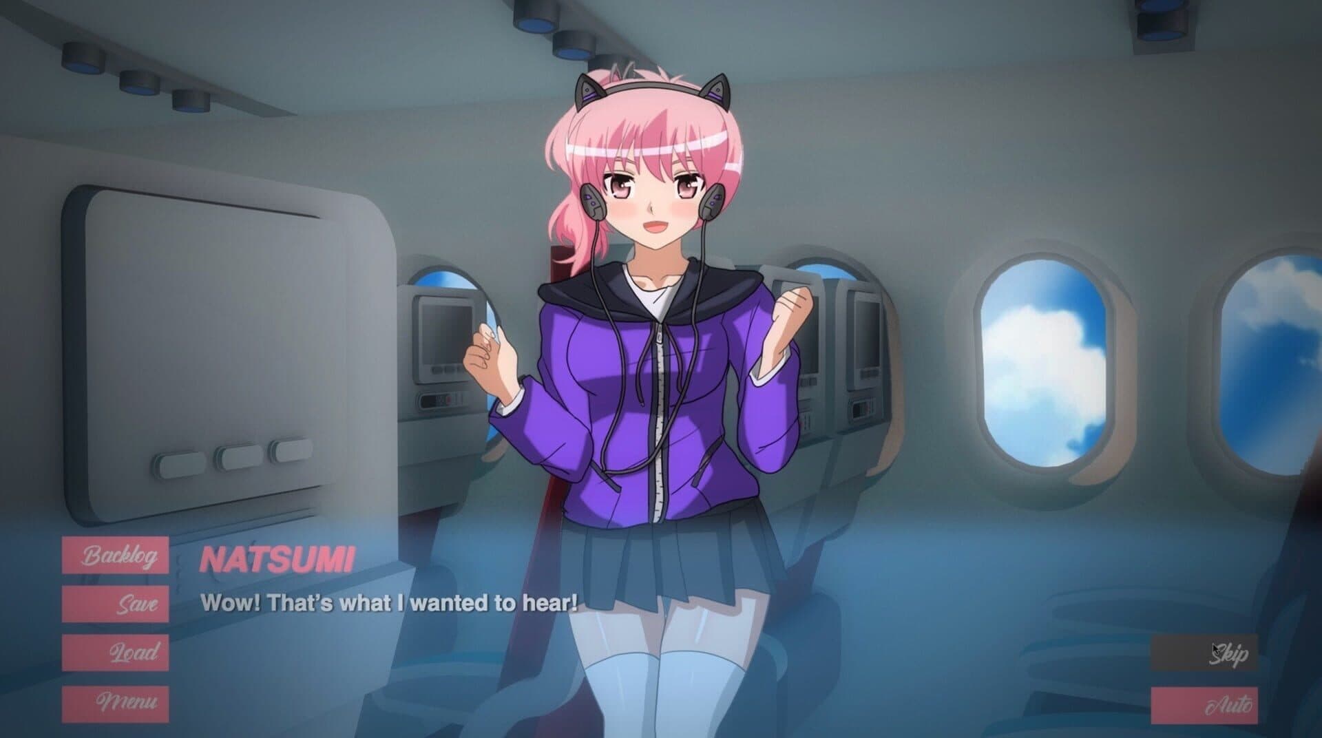 Pleasure Airlines screenshot 1