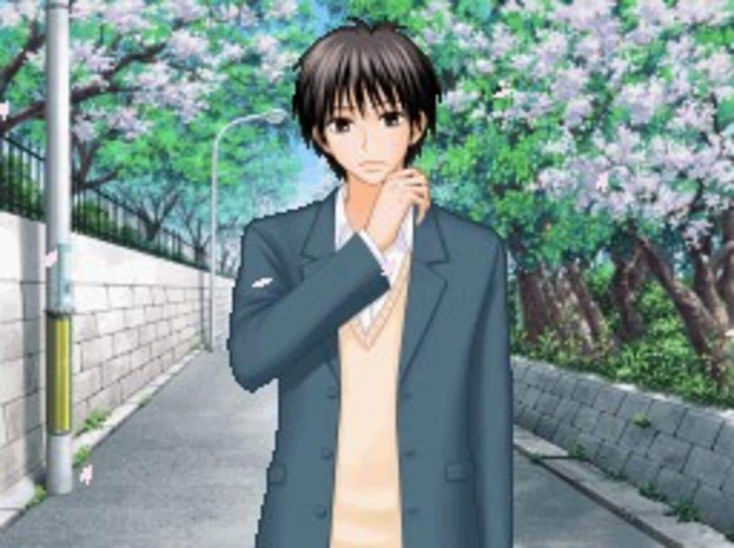 Kimi ni Todoke: Sodateru Omoi screenshot 1