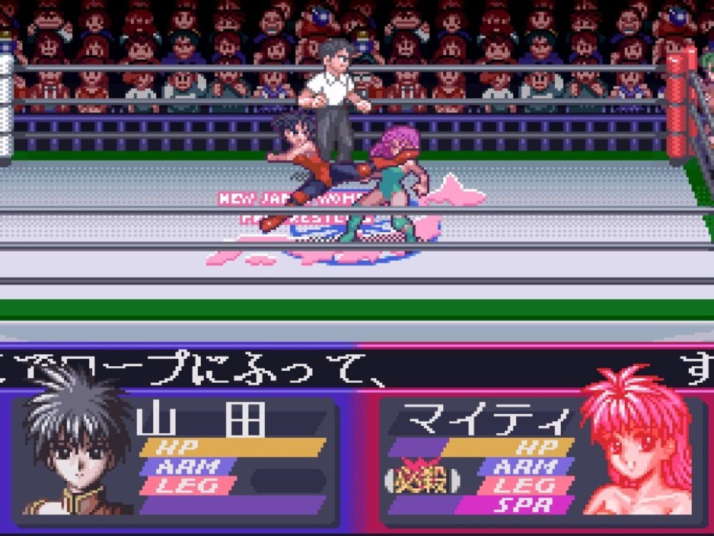 Bishoujo Wrestler Retsuden: Blizzard Yuki Rannyuu!! screenshot 1