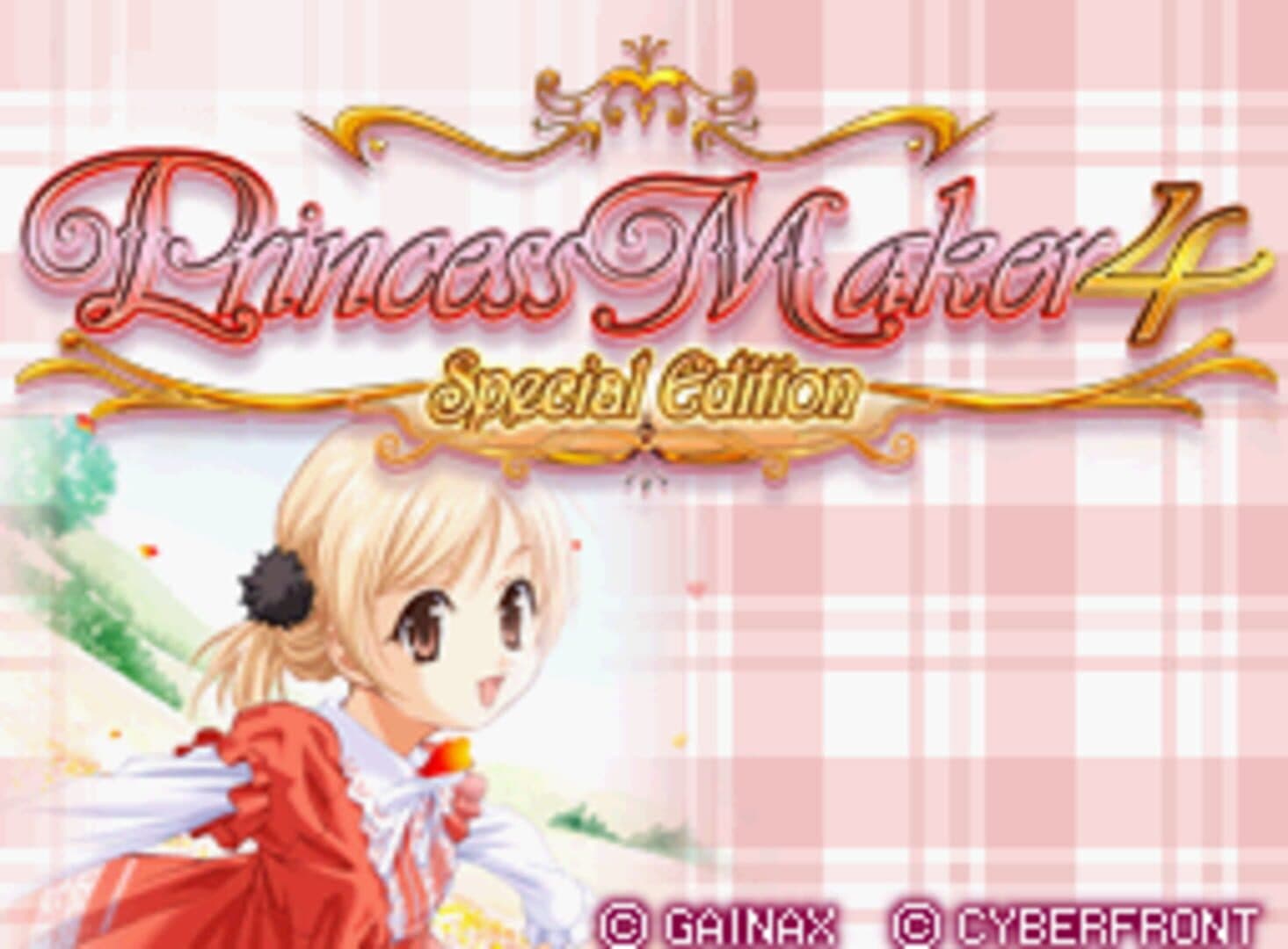Princess Maker 4 DS Special Edition screenshot 1
