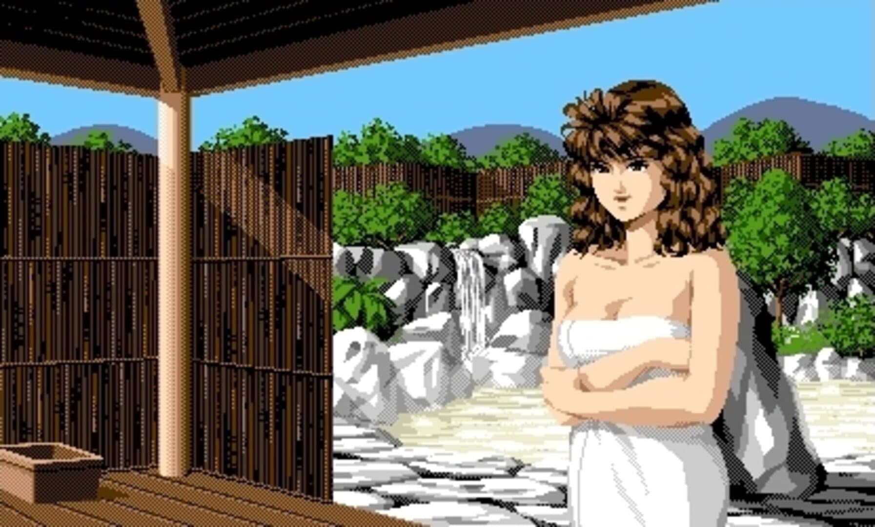 Hokkaido Rensa Satsujin: Okhotsk ni Kiyu screenshot 8