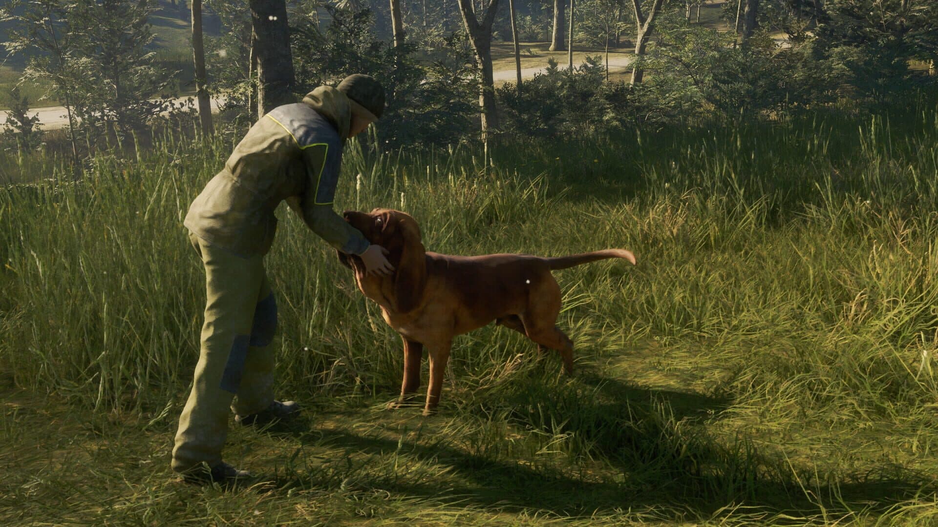 TheHunter: Call of the Wild - Bloodhound screenshot 6