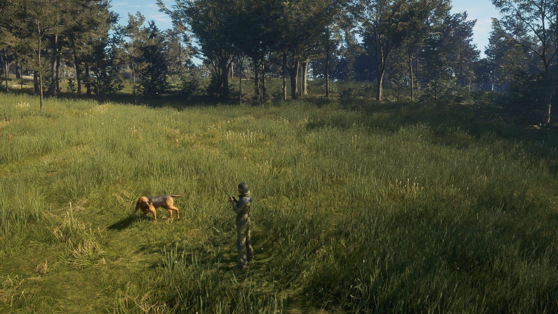 TheHunter: Call of the Wild - Bloodhound screenshot 7