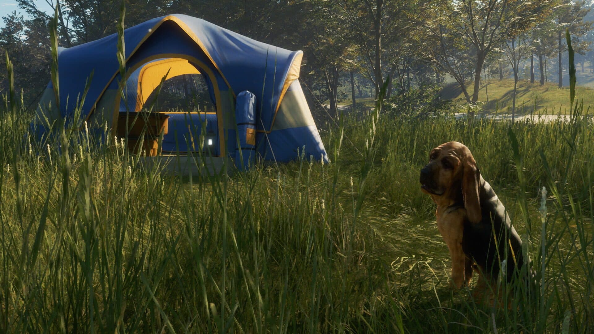 TheHunter: Call of the Wild - Bloodhound screenshot 8