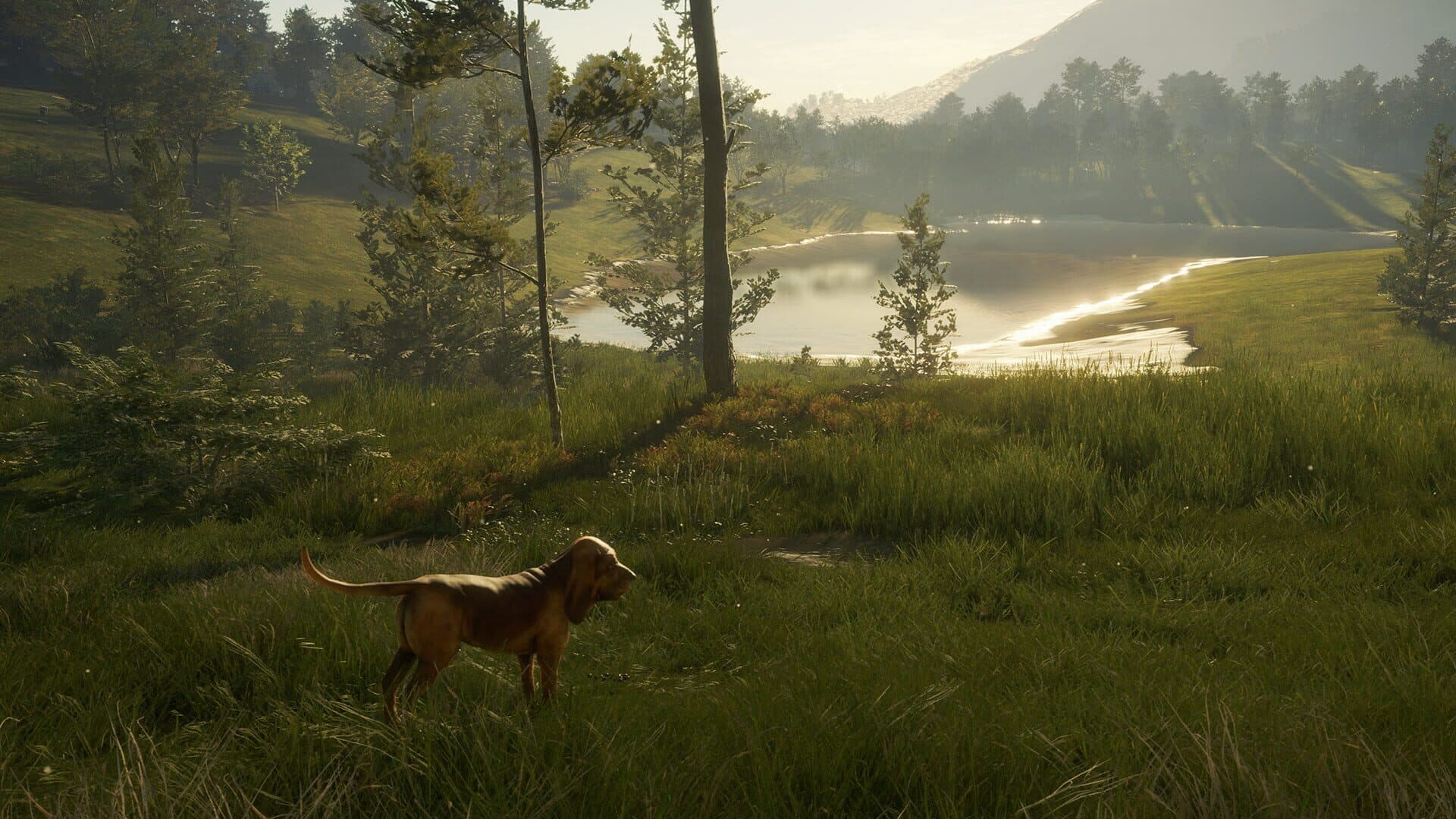 TheHunter: Call of the Wild - Bloodhound screenshot 9