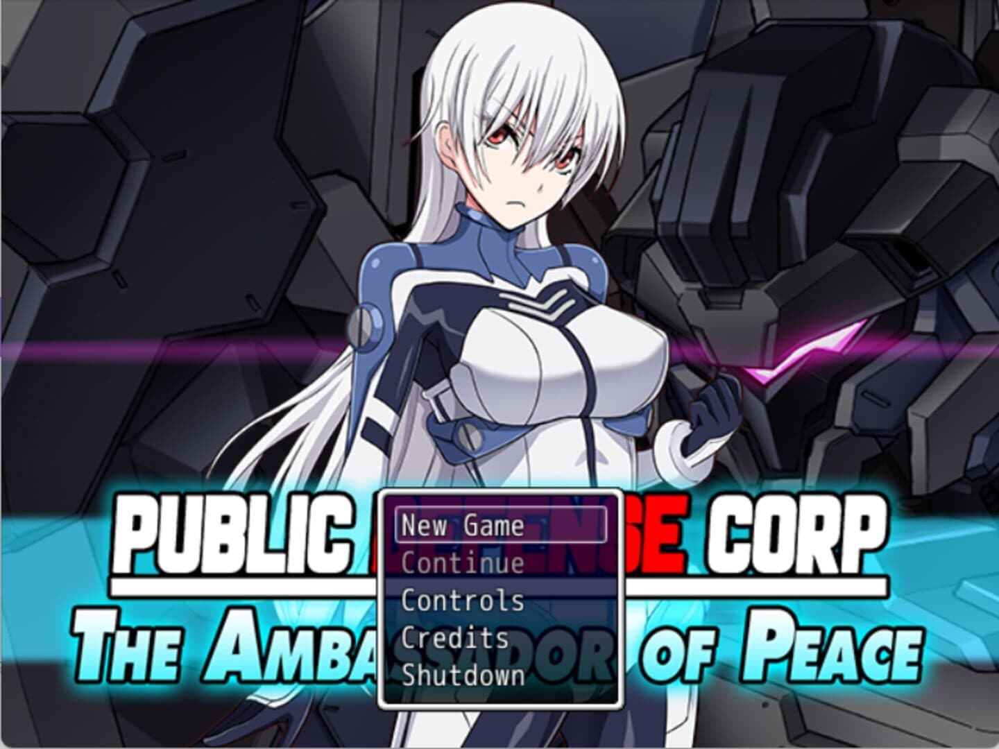 Public Defense Corp: The Ambassador of Peace screenshot 2