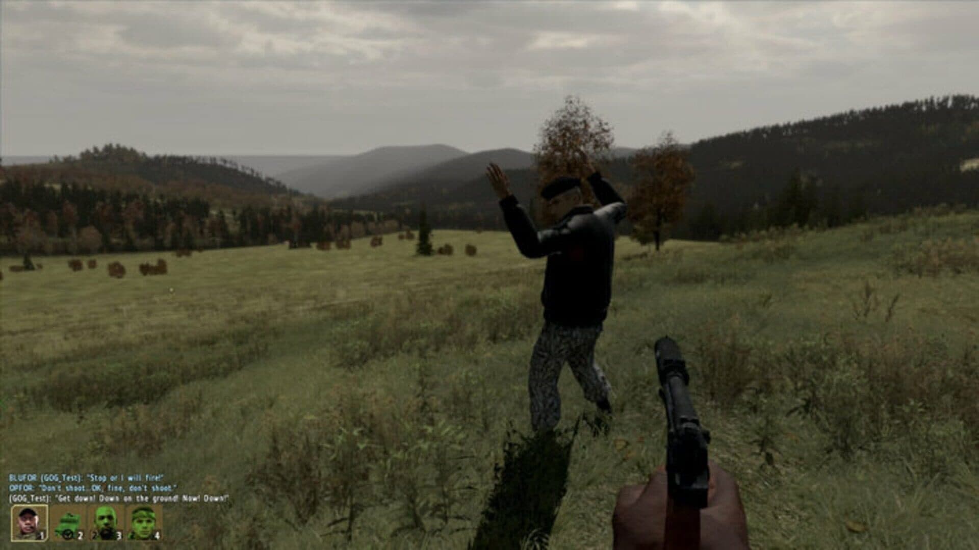 Arma 2: Combined Operations screenshot 5