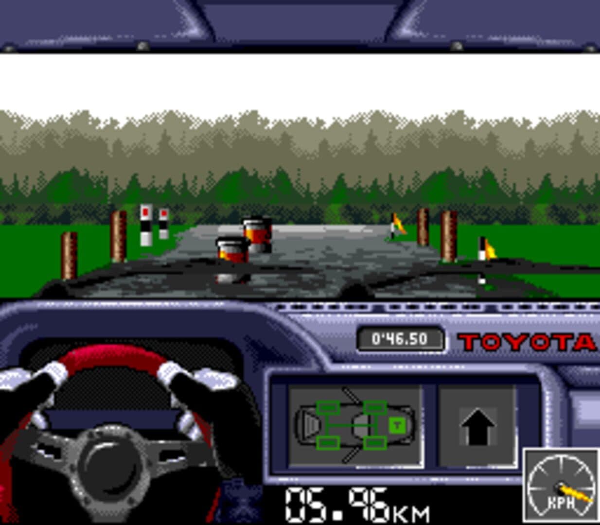Rally: The Final Round of the World Rally Championship screenshot 4