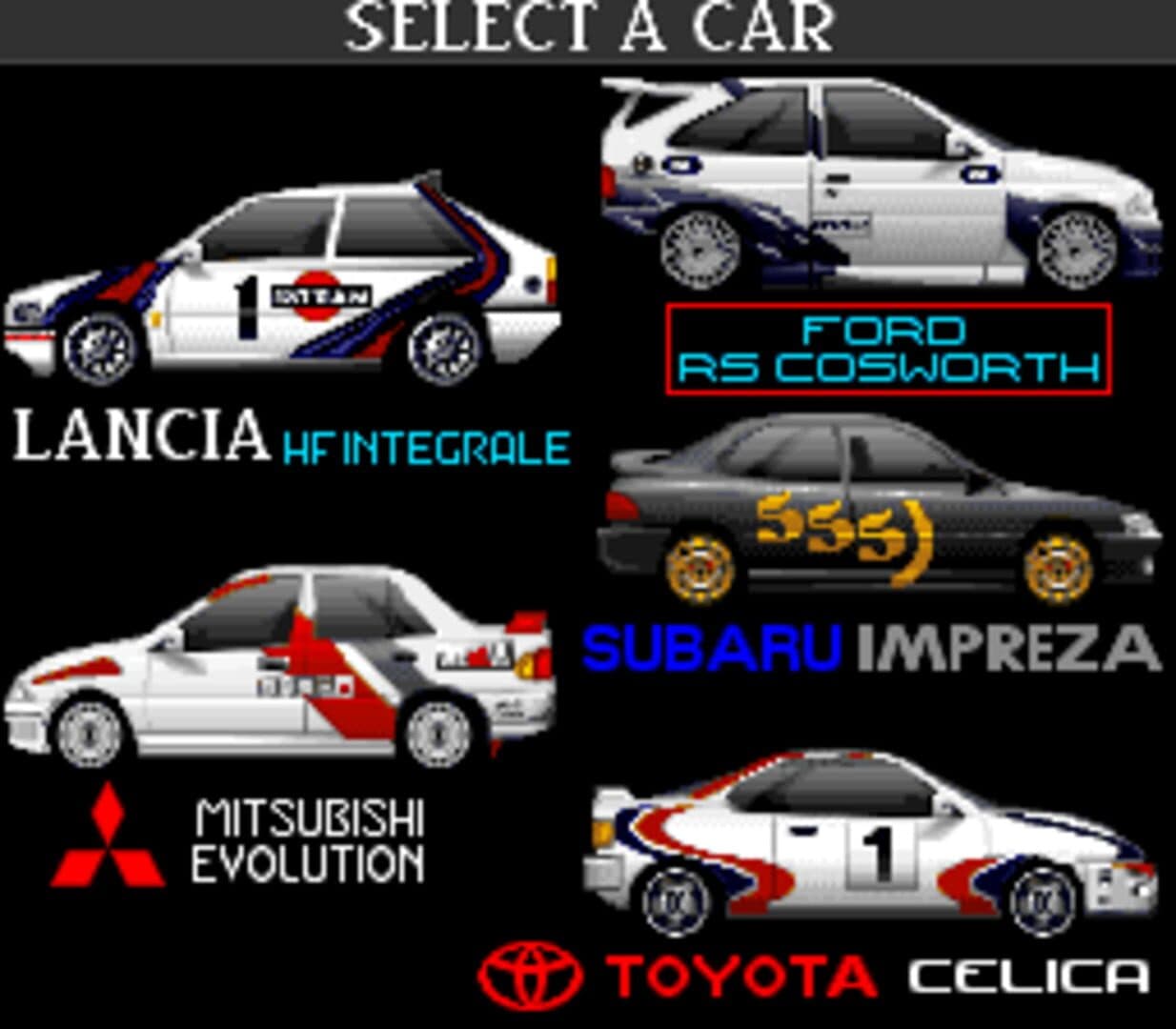Rally: The Final Round of the World Rally Championship screenshot 7