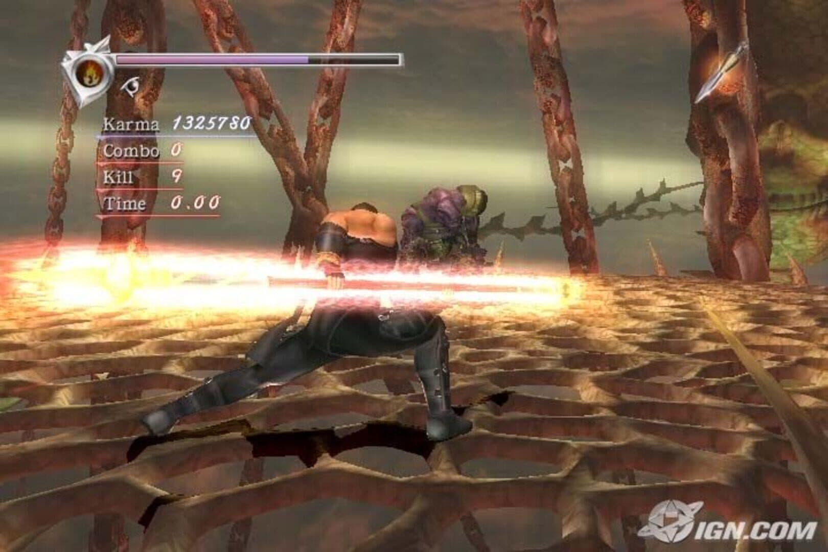 Ninja Gaiden Hurricane Pack II screenshot 3
