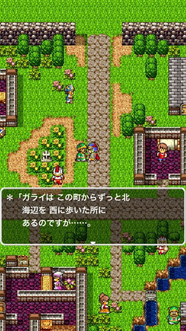 Dragon Quest screenshot 16