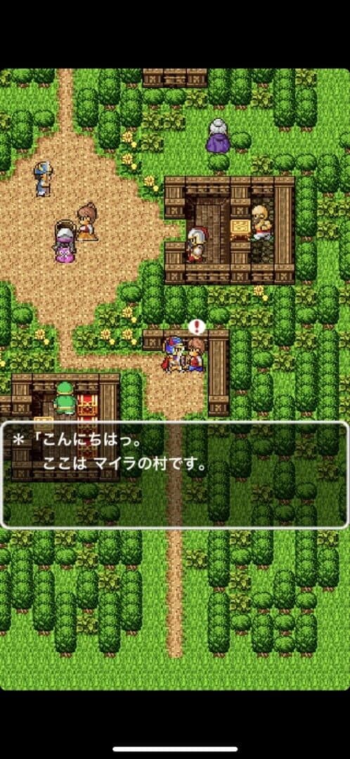 Dragon Quest screenshot 14
