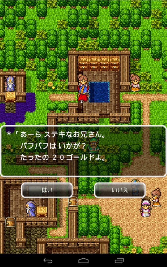 Dragon Quest screenshot 15