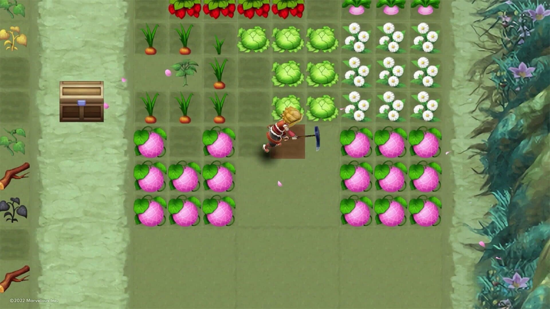 Rune Factory 3 Special screenshot 2