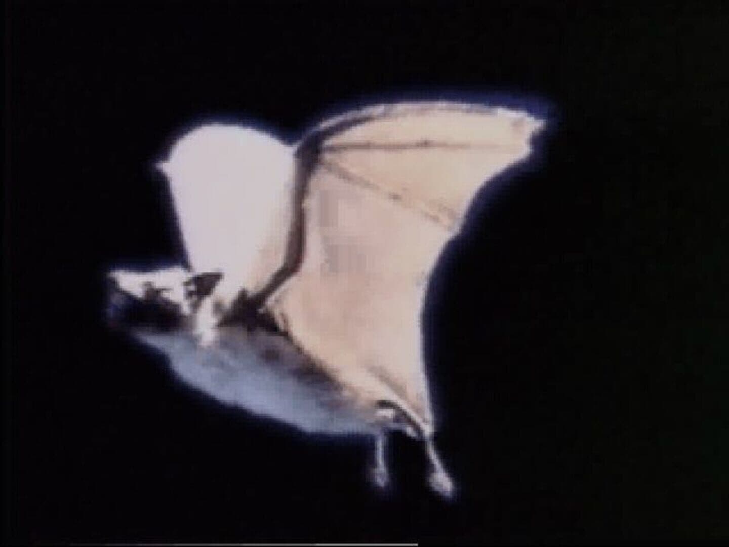 Terror TRAX: Track of the Vampire screenshot 5