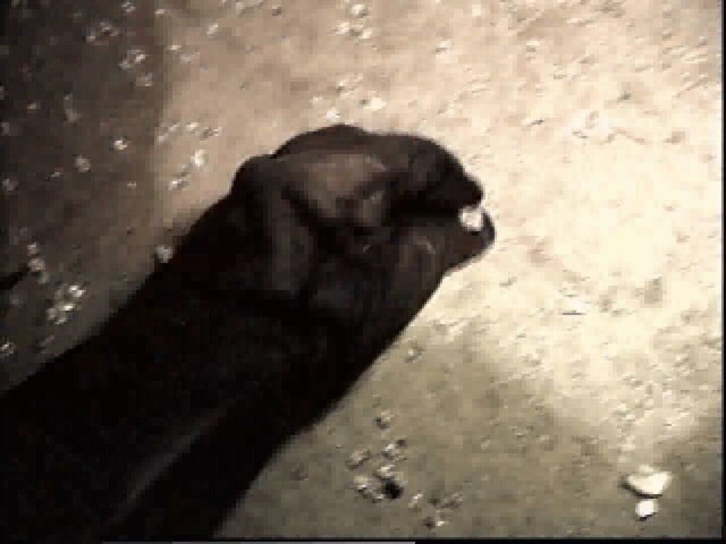 Terror TRAX: Track of the Vampire screenshot 13