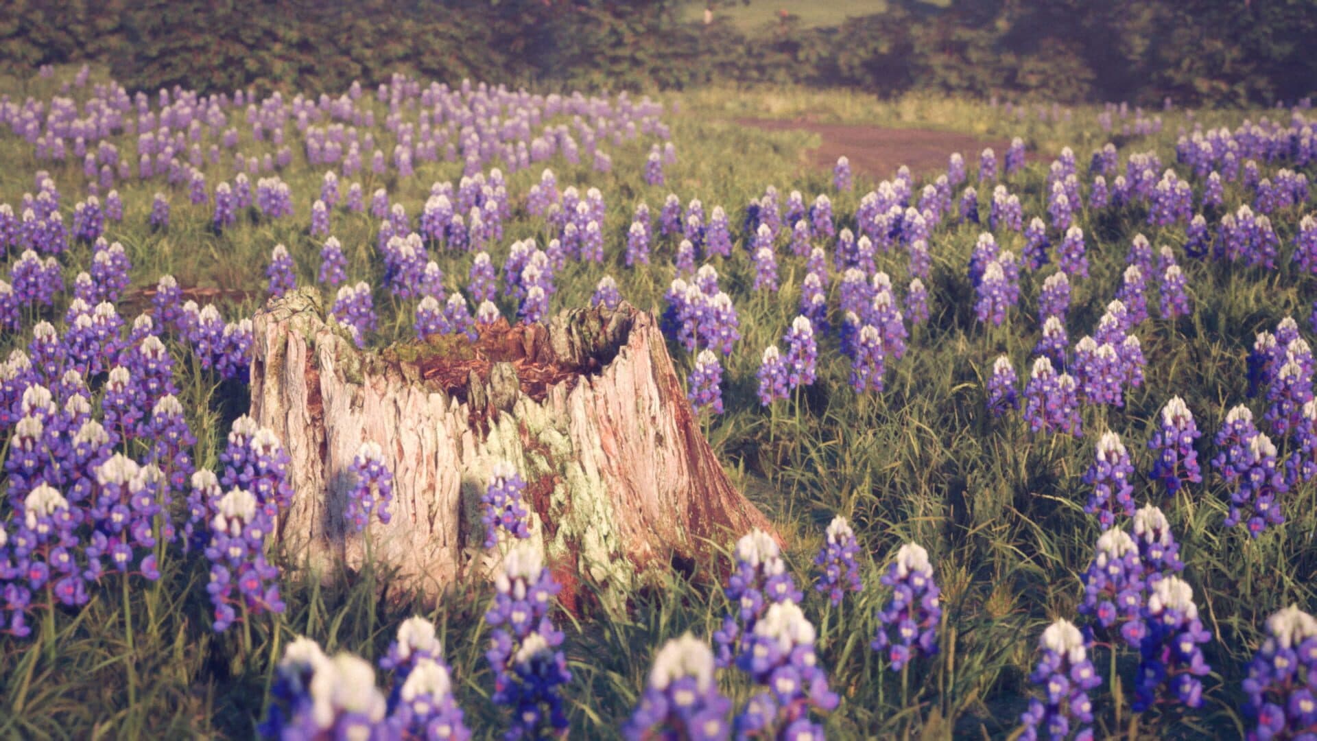 Petals screenshot 3
