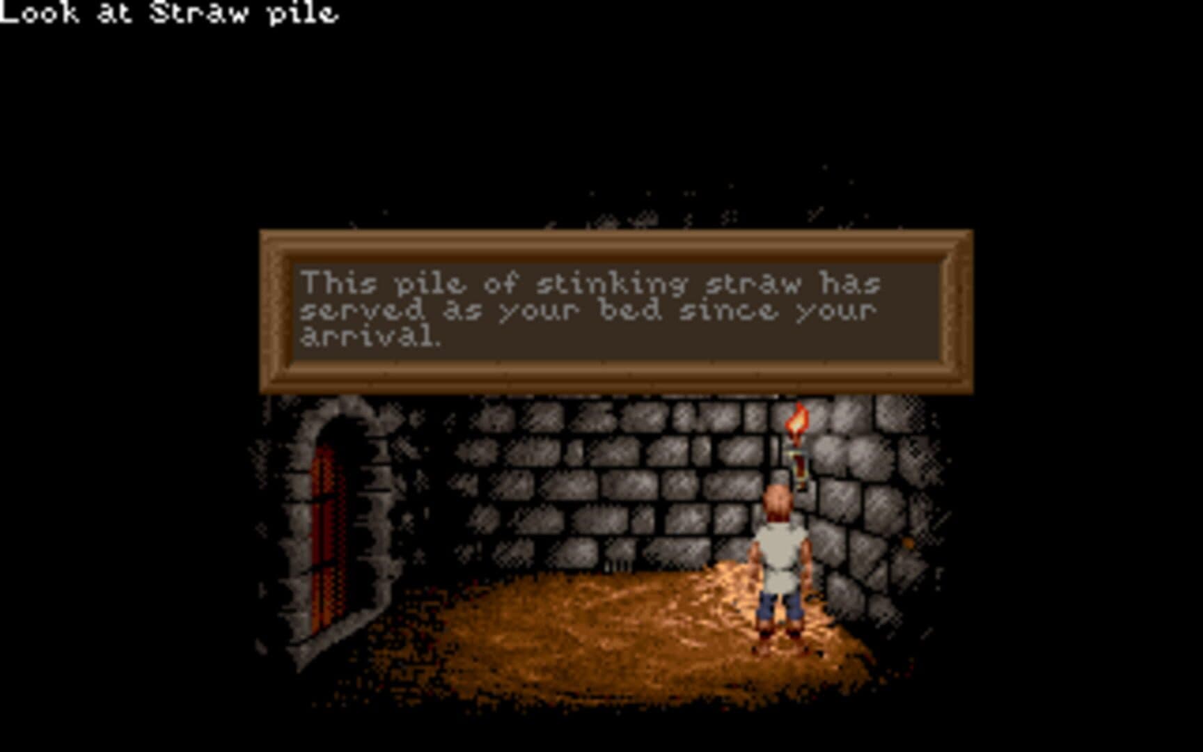 Lure of the Temptress screenshot 7