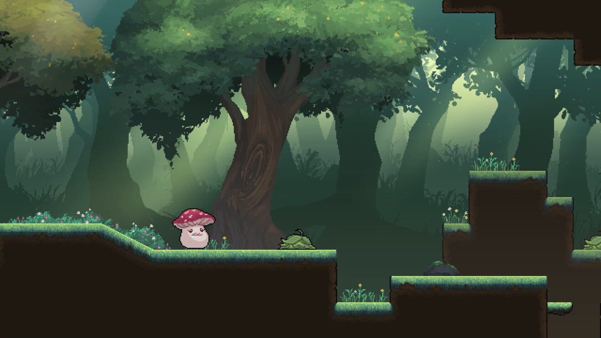 Tevi screenshot 6