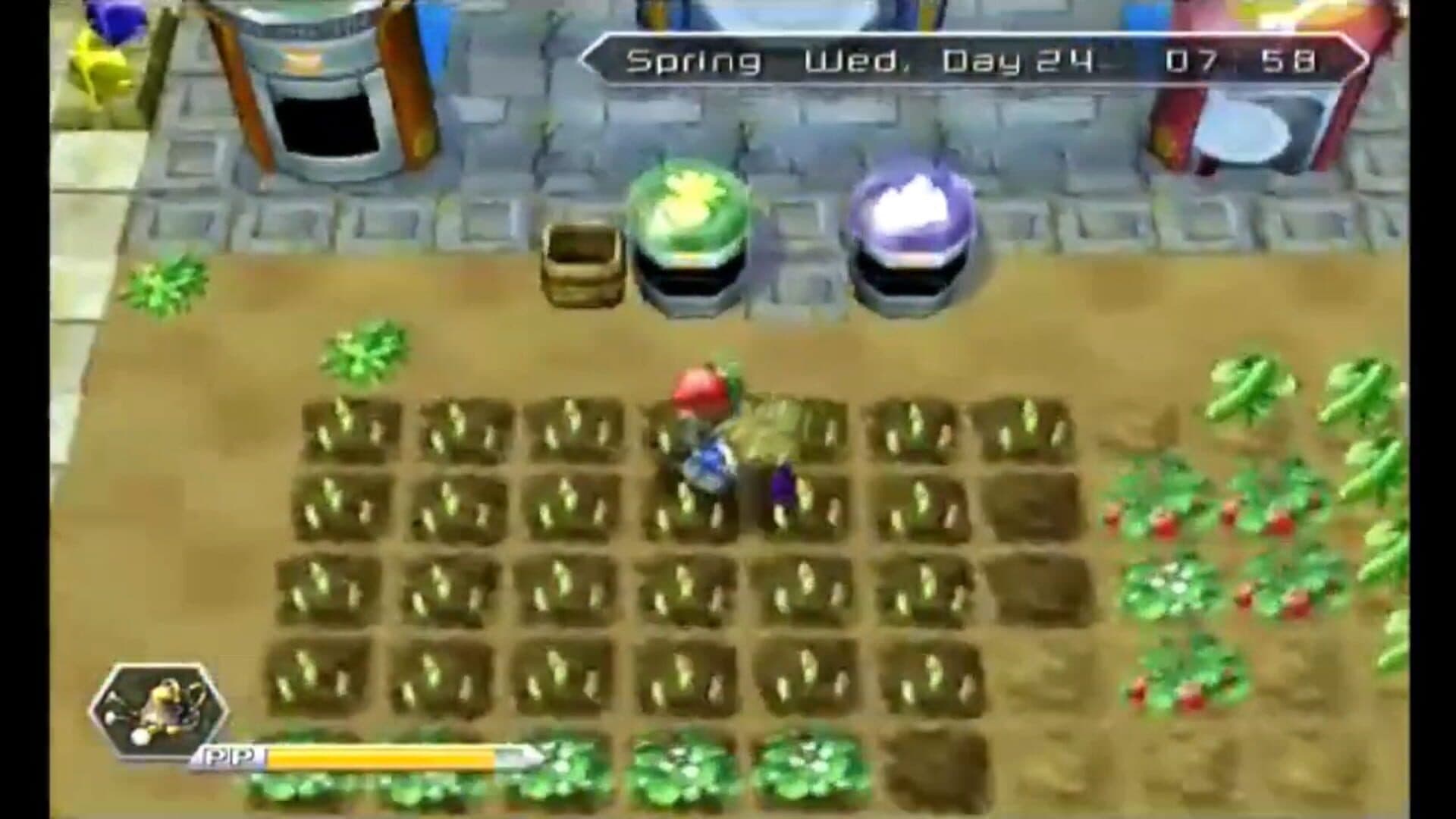 Innocent Life: A Futuristic Harvest Moon - Special Edition screenshot 3