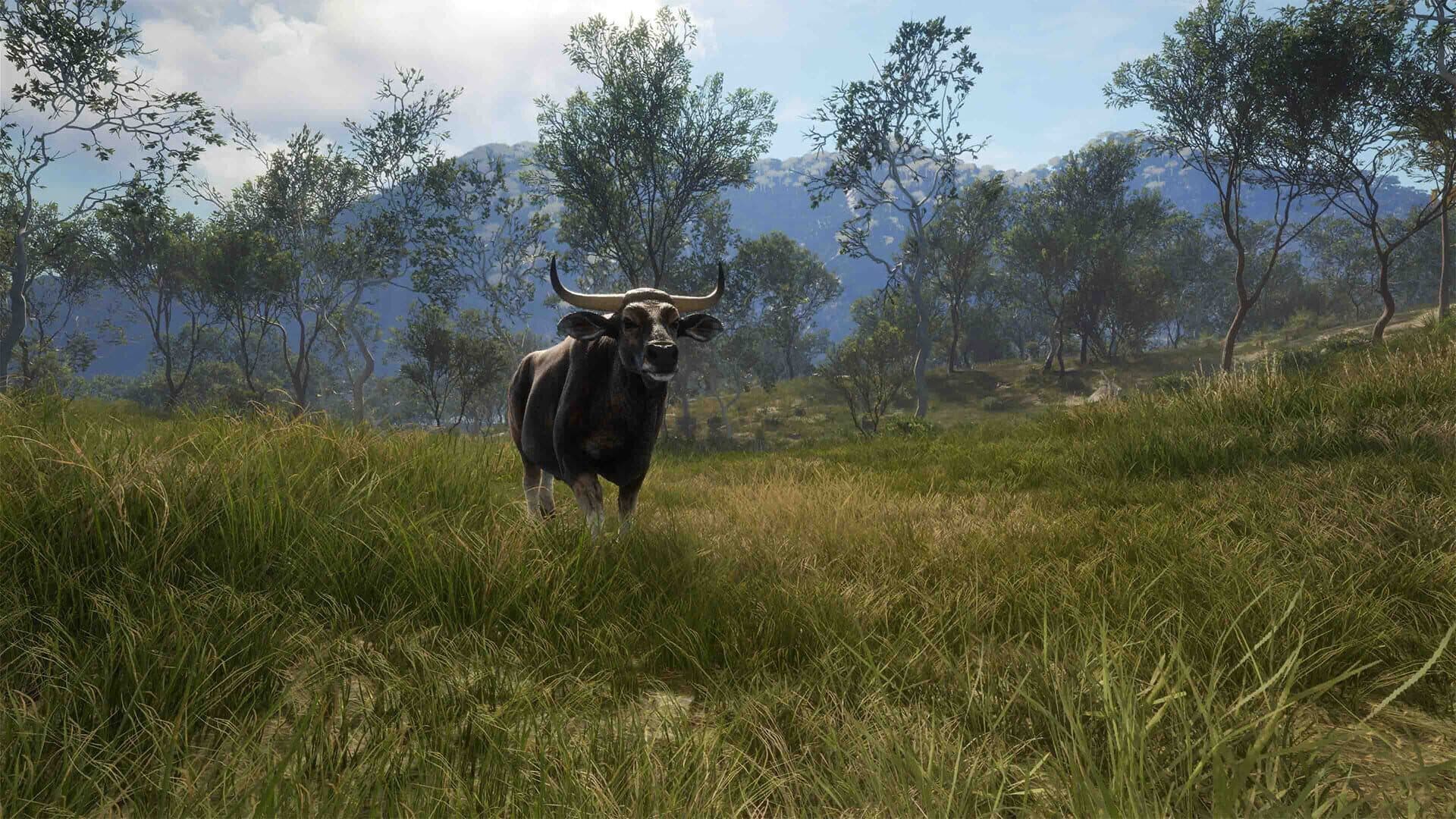 theHunter: Call of the Wild - Emerald Coast Australia screenshot 7