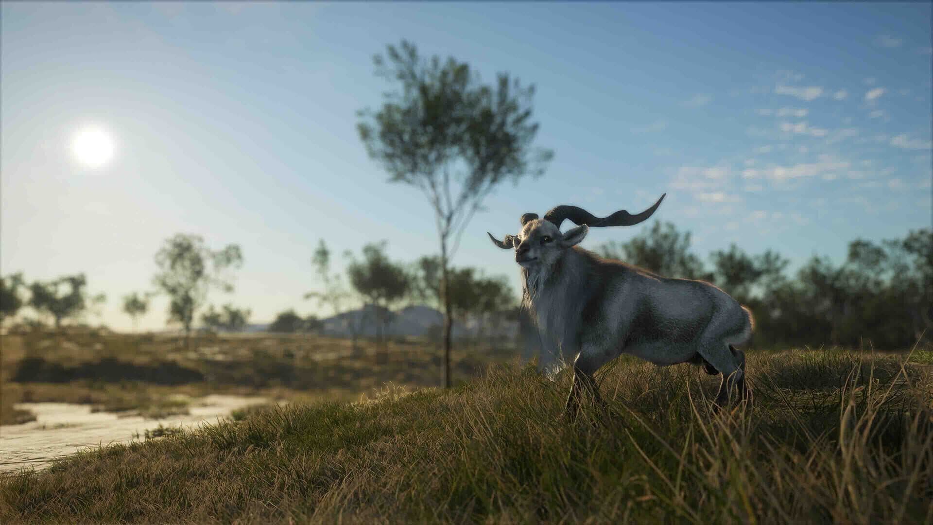 theHunter: Call of the Wild - Emerald Coast Australia screenshot 14