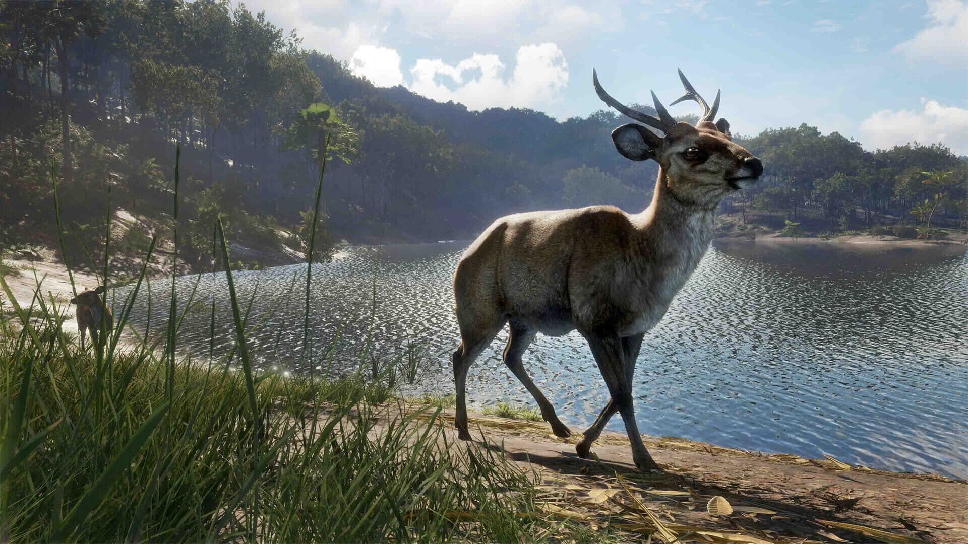 theHunter: Call of the Wild - Emerald Coast Australia screenshot 12
