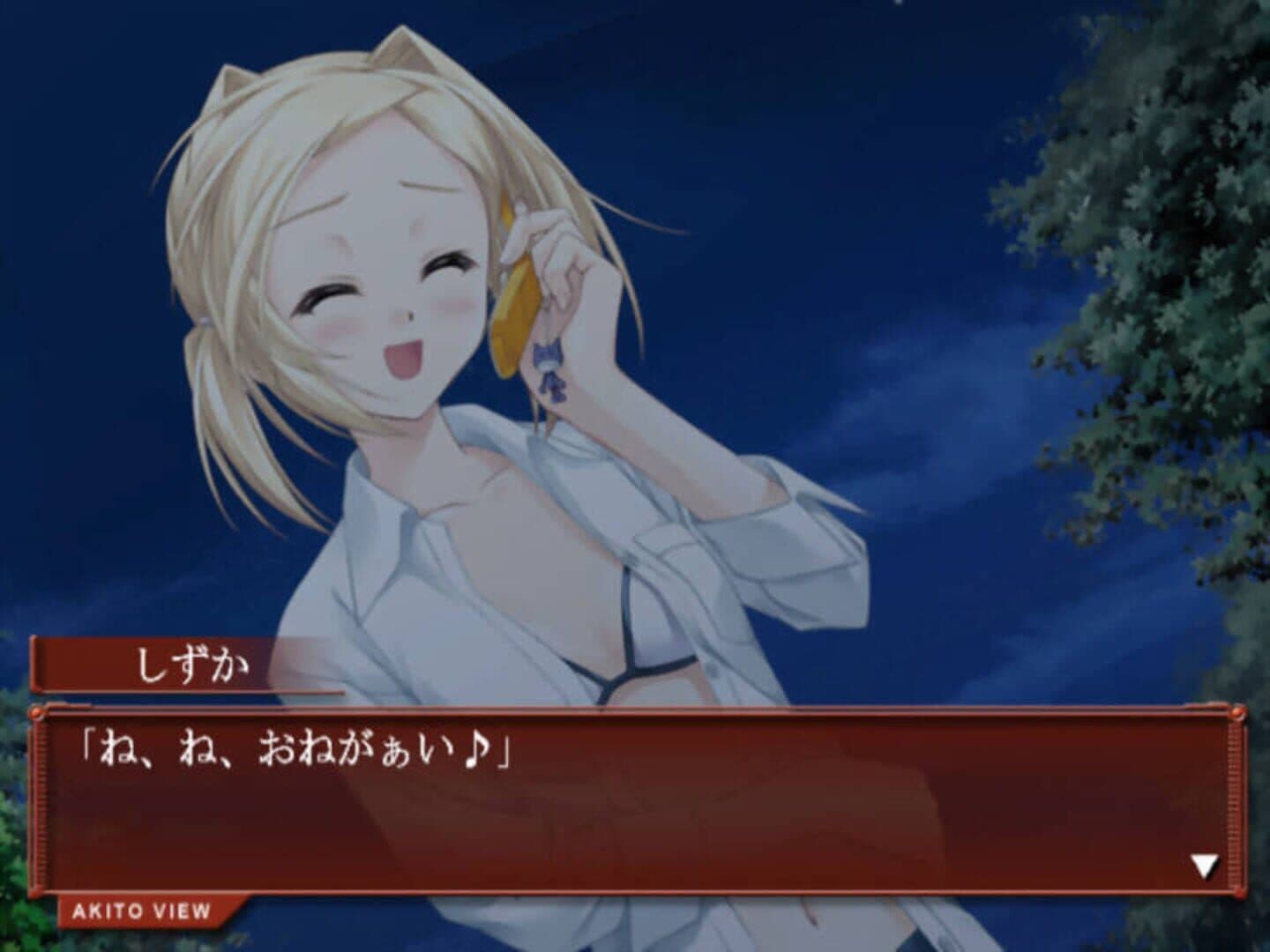 Scarlett: Nichijou no Kyoukaisen screenshot 6
