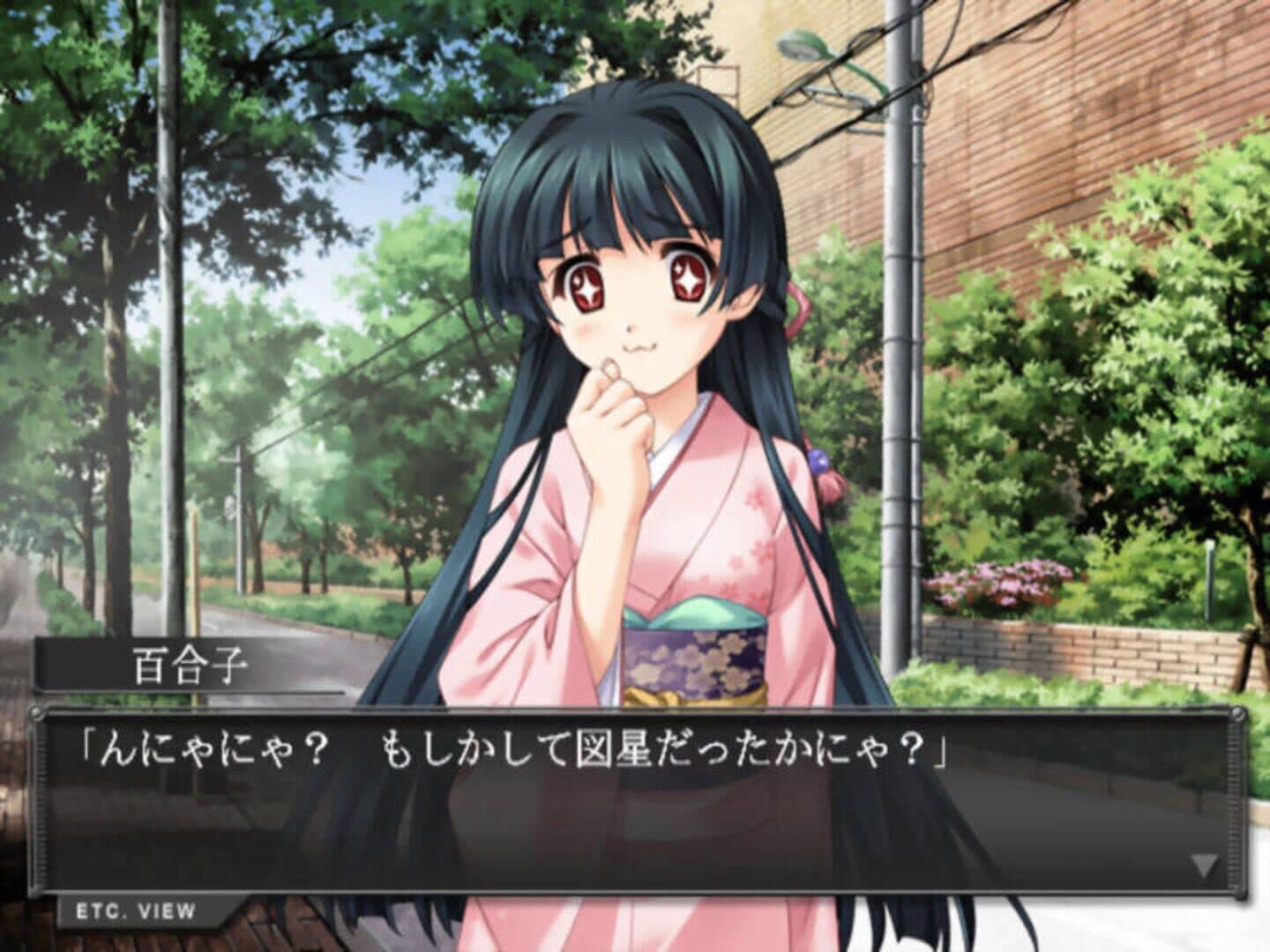 Scarlett: Nichijou no Kyoukaisen screenshot 19
