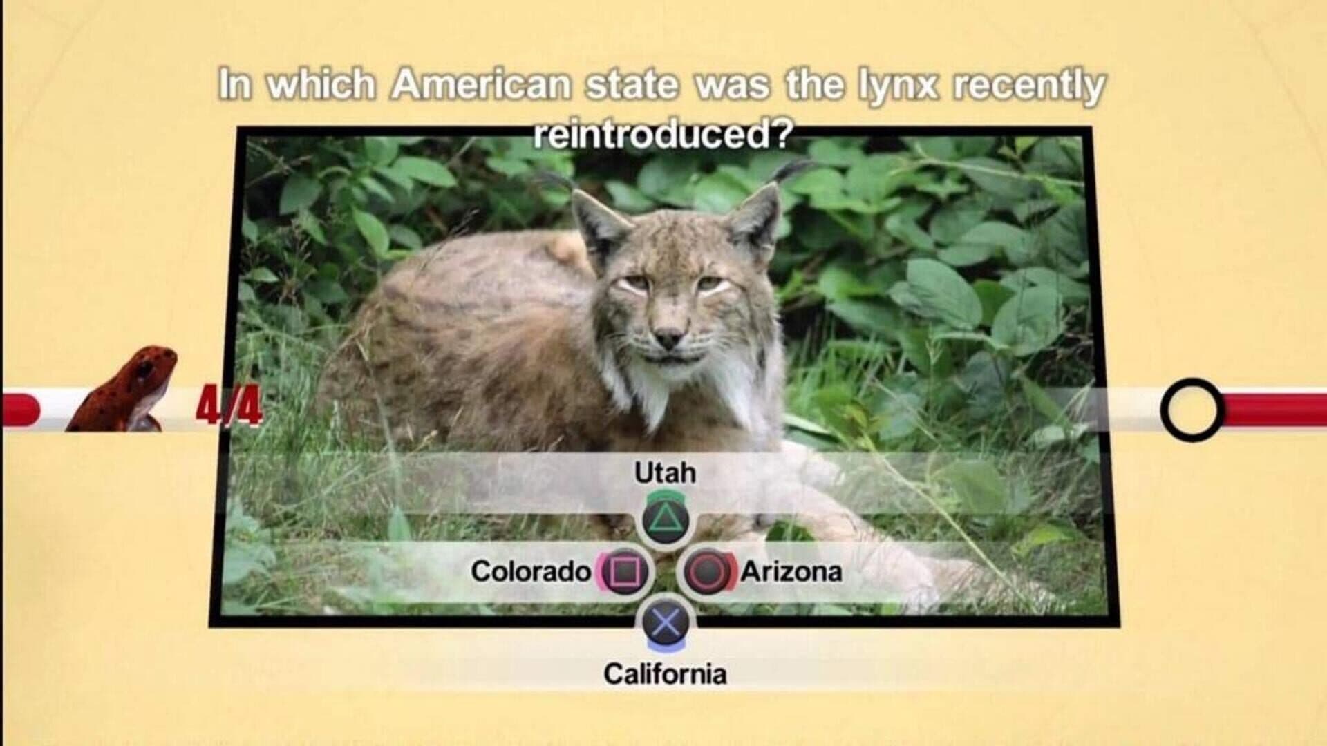Nat Geo Challenge! Wild Life screenshot 5