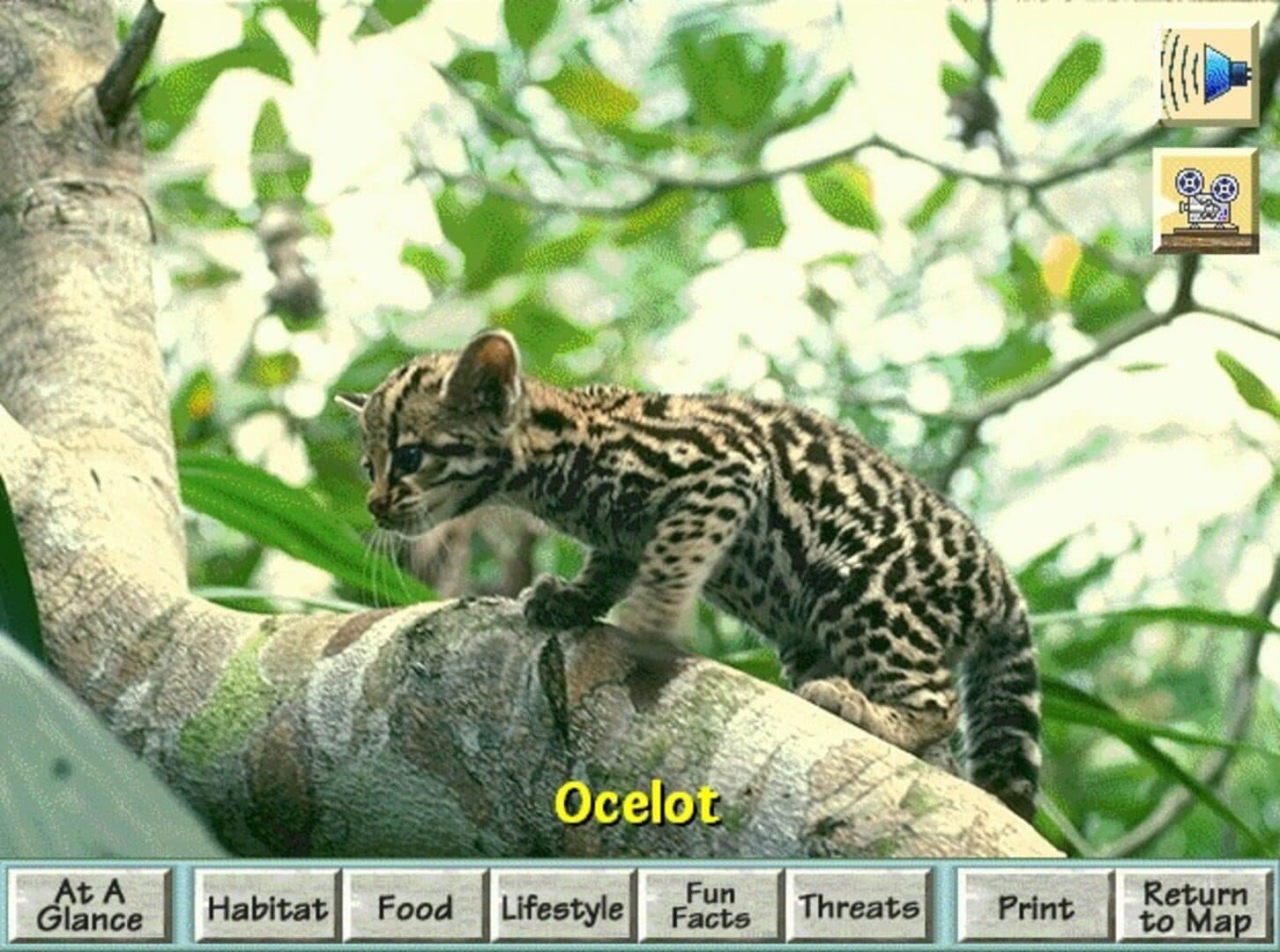 Discovering Endangered Wildlife screenshot 4