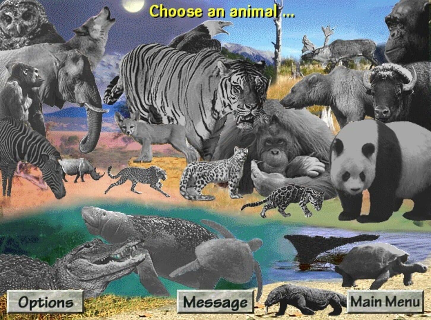 Discovering Endangered Wildlife screenshot 5