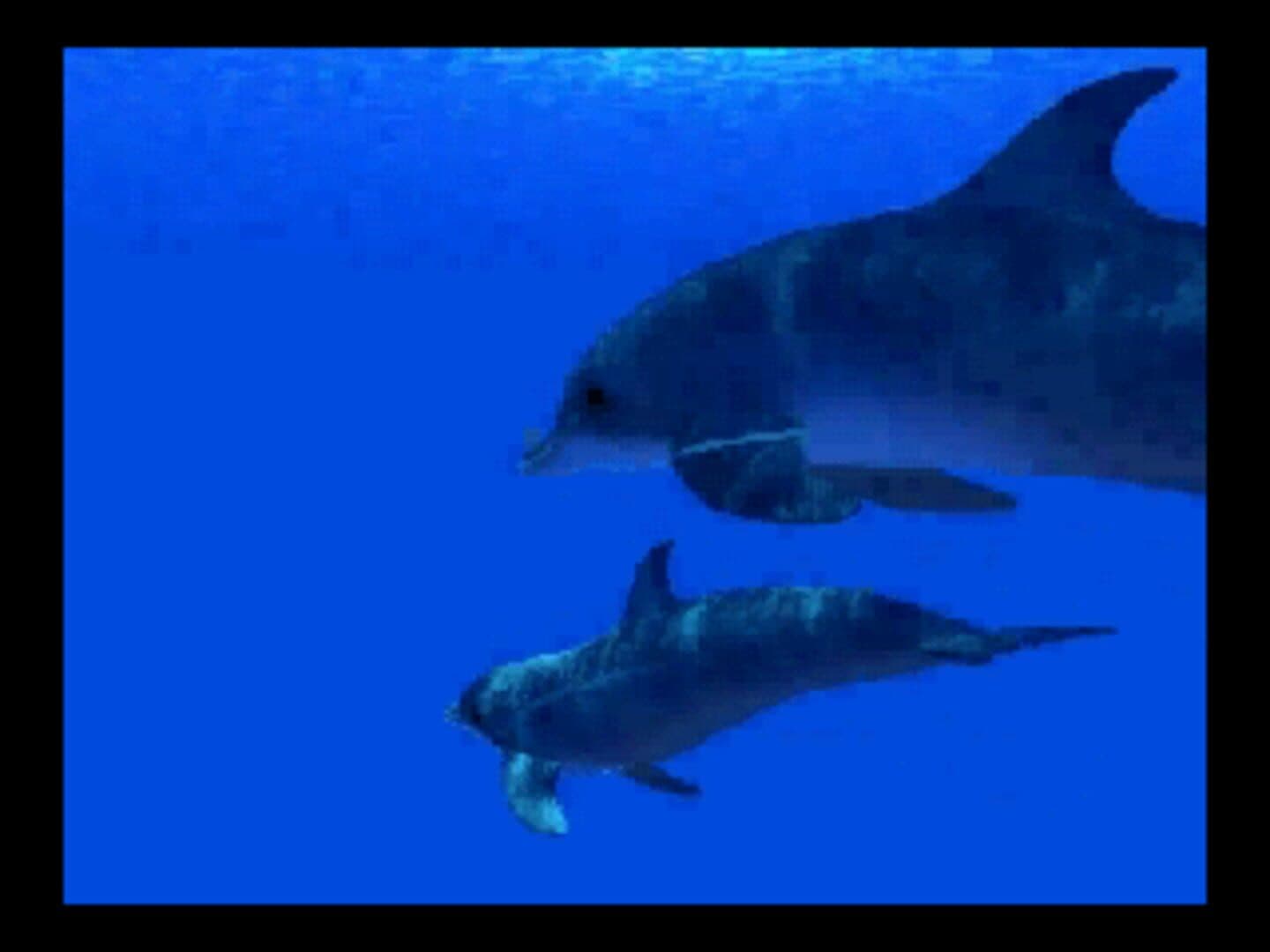 Aqua-World: Umi Monogatari screenshot 2