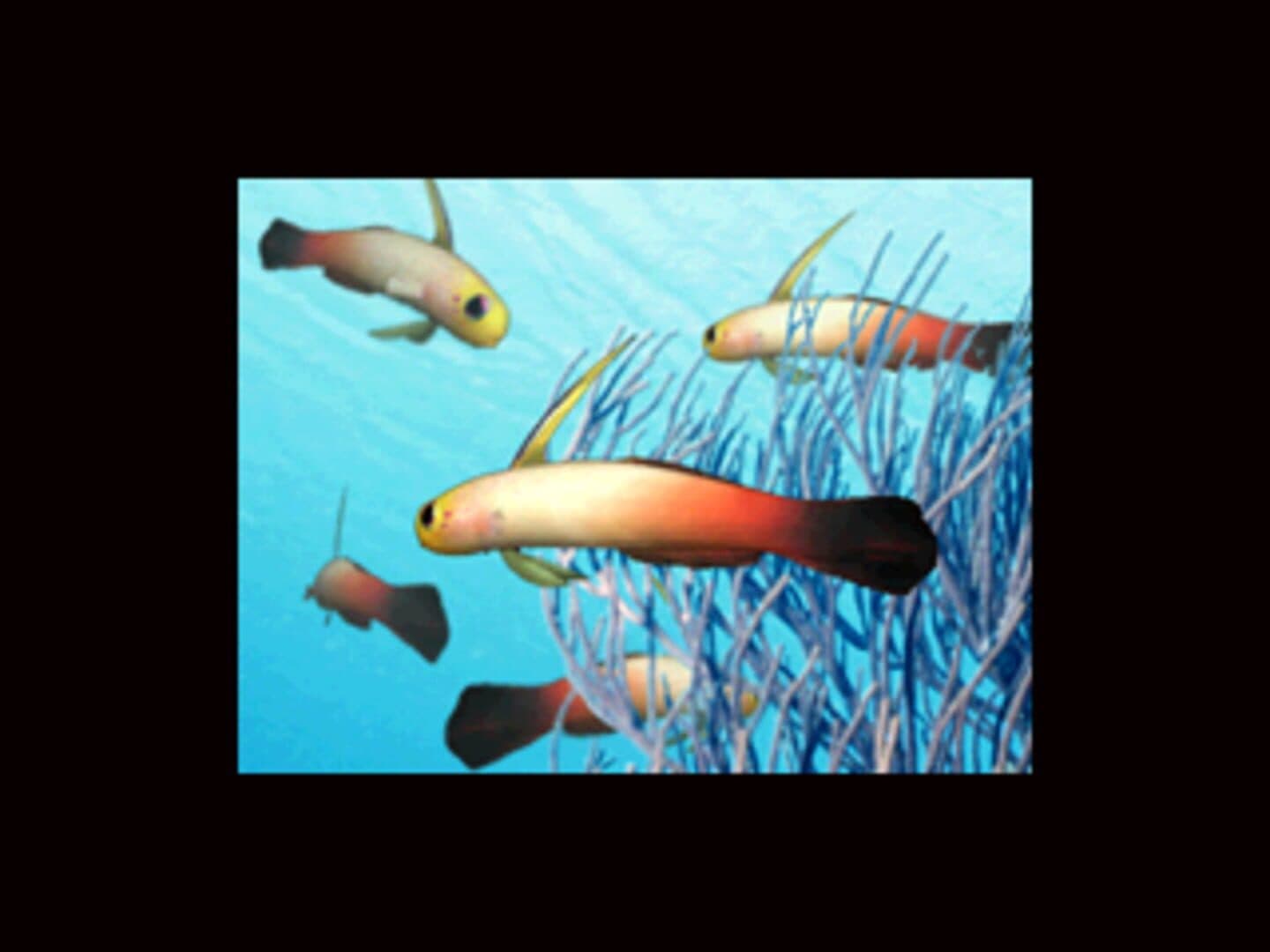 Aqua-World: Umi Monogatari screenshot 3