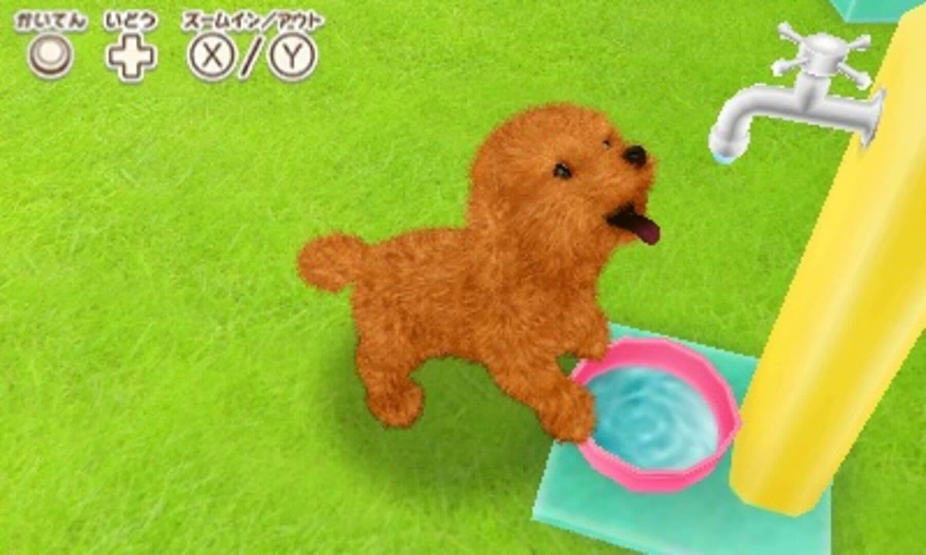 Kawaii Pet to Kurasou! Wan Nyan & Mini Mini Animal screenshot 2