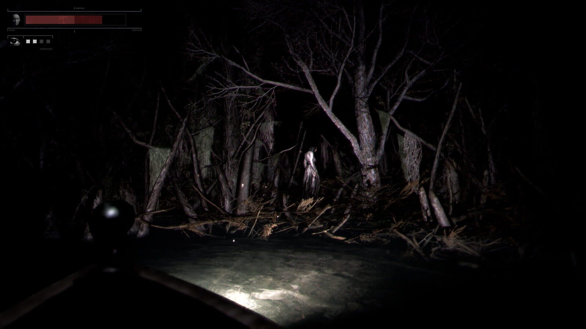 Drowned Lake screenshot 3