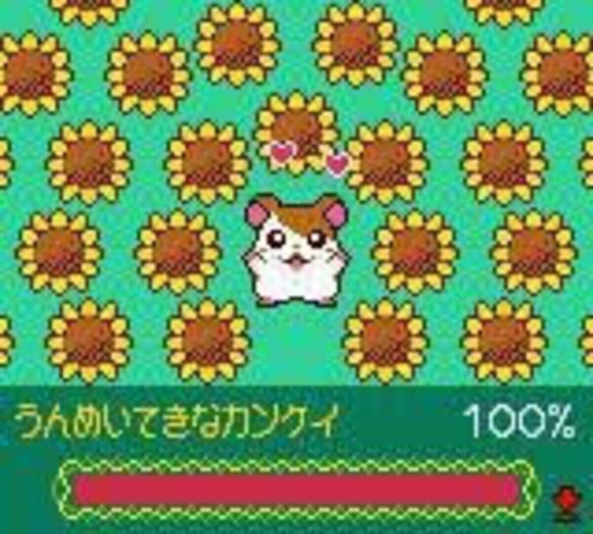 Tottoko Hamtaro: Tomodachi Daisakusen Dechu screenshot 3