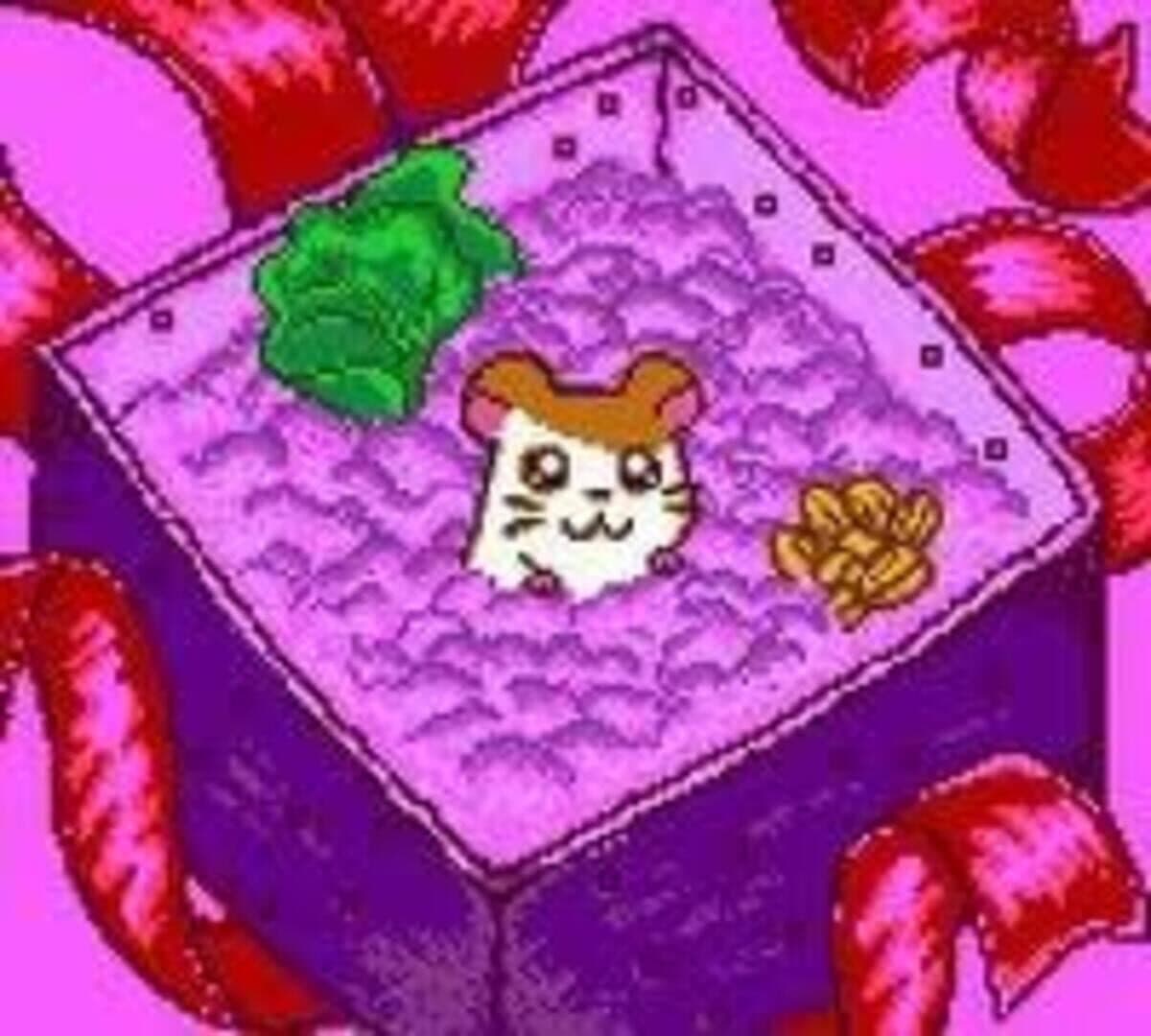 Tottoko Hamtaro: Tomodachi Daisakusen Dechu screenshot 5