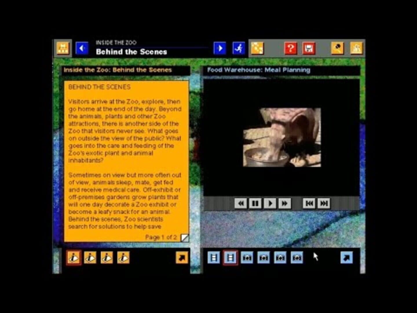 San Diego Zoo Presents: The Animals! screenshot 2