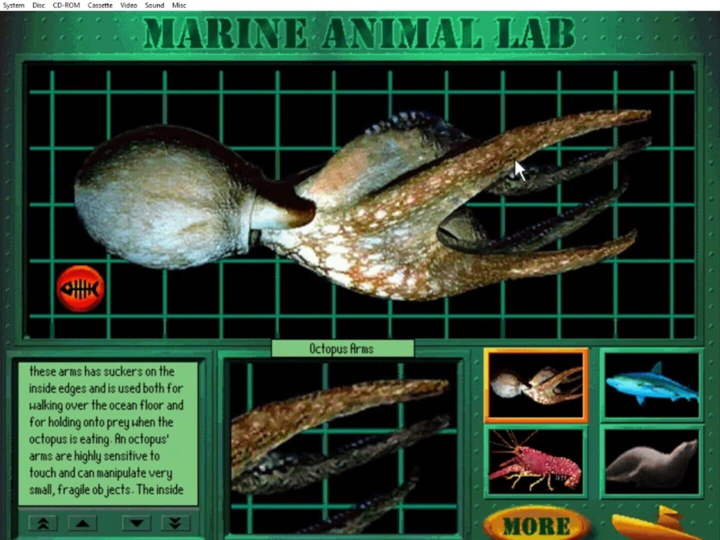 Undersea Adventure screenshot 3