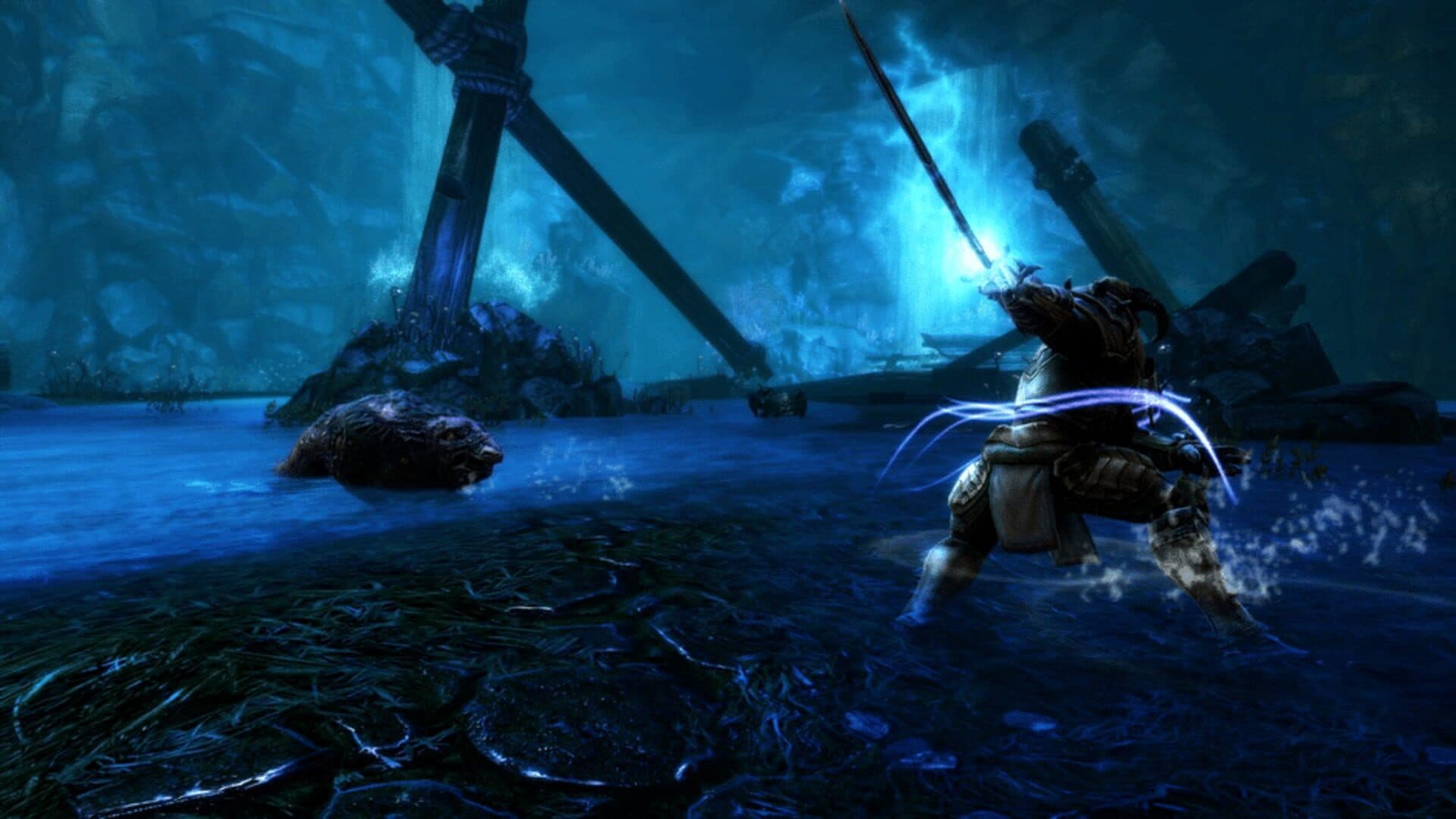 Kingdoms of Amalur: Re-Reckoning - Collector's Edition screenshot 5