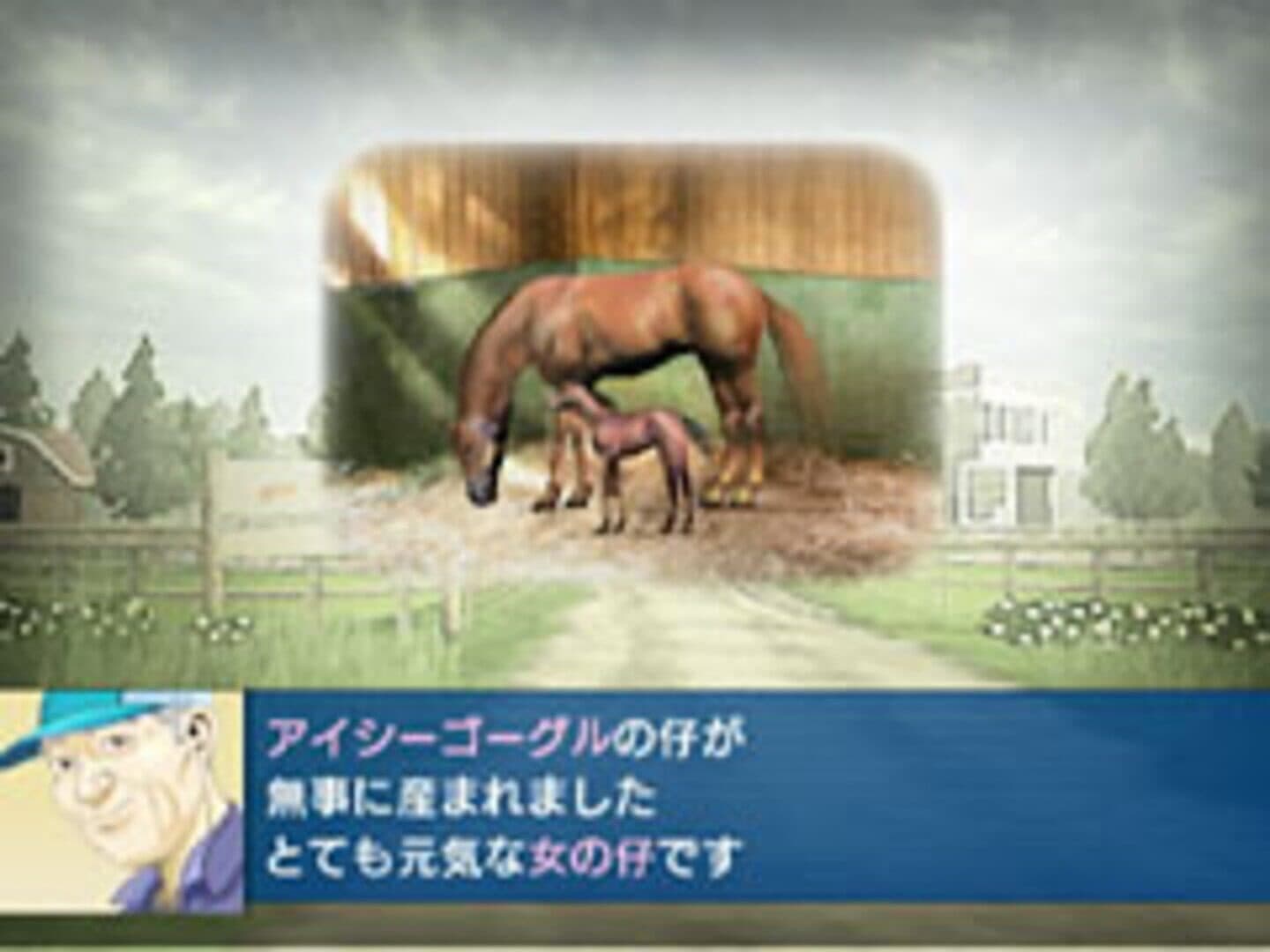 Derby Tsuku 3: Derby-ba wo Tsukurou! screenshot 2