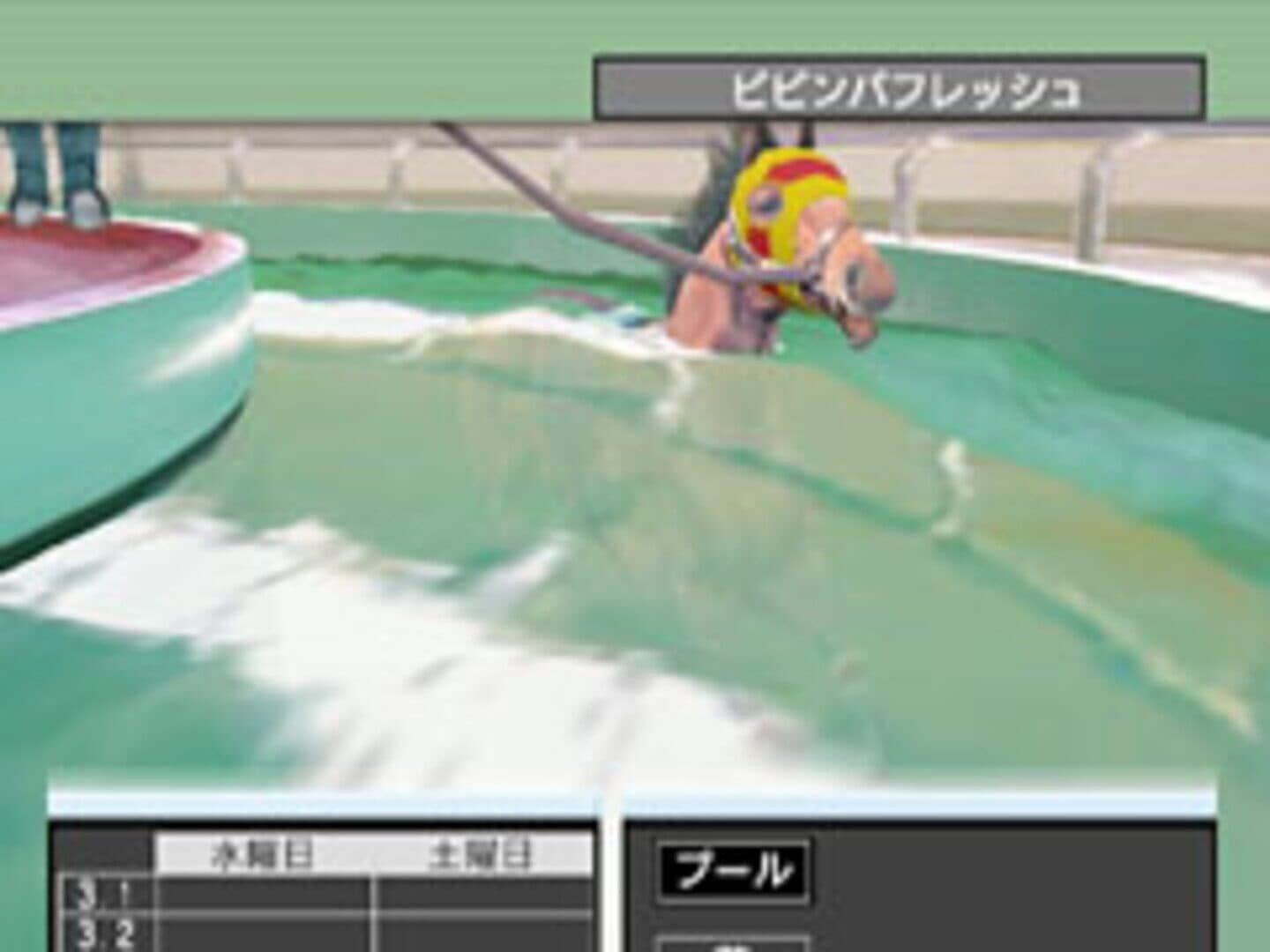 Derby Tsuku 3: Derby-ba wo Tsukurou! screenshot 3
